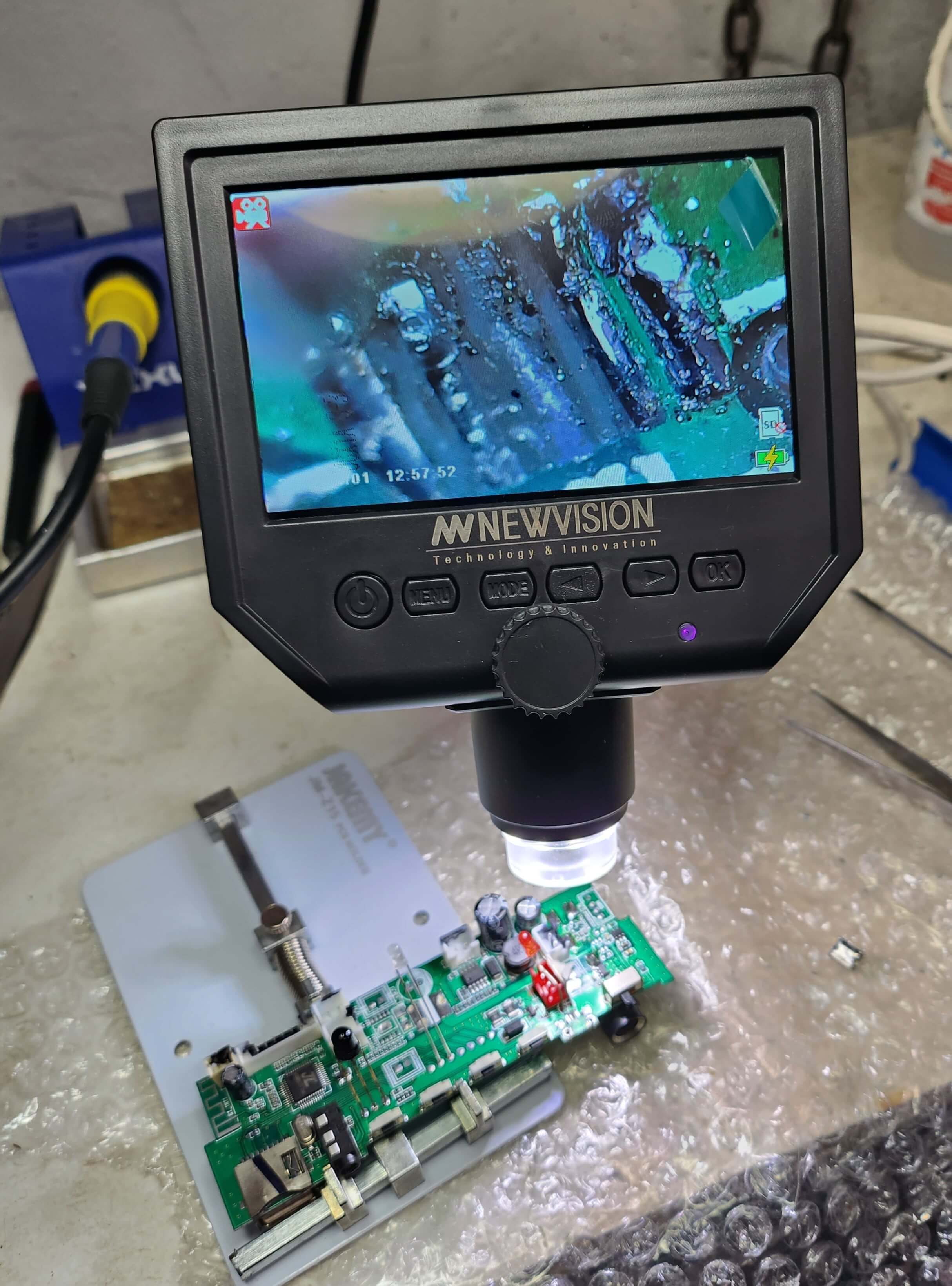 Placa bajo microscopio